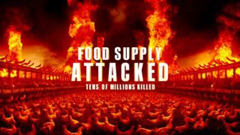 10s Of Millions Of Chickens KILLED By Governments As Attack On Food Supply Escalates: More Genocide?