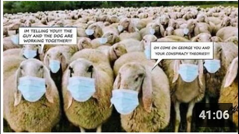 The Sheep Are Leading The Flock to Slaughter | The Crowhouse