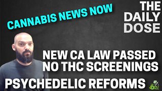 Cannabis News Now: California Bans THC Drug Screening For Jobs Proposes New Testing Methods Instead