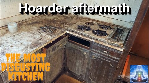 Do Not Watch if You Are Easily Grossed Out - Disgusting Kitchen Cleaning