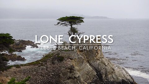 Majestic Lone Cypress Tree at Pebble Beach | 4K Nature Relaxation Video
