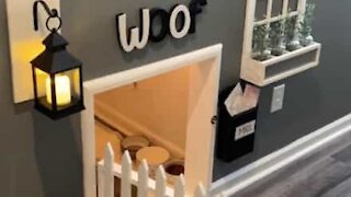 Owner builds the coolest dog house