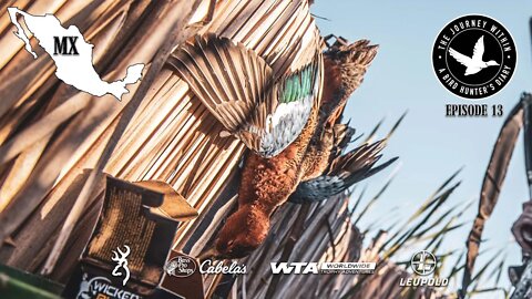 Warm Weather Limits: Cinnamon Teal in Mexico: The Journey Within-Waterfowl Slam