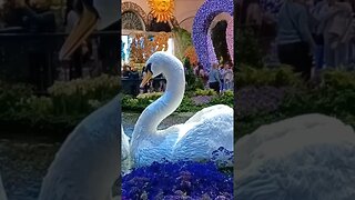 BELLAGIO 2023 SPRING EXHIBIT