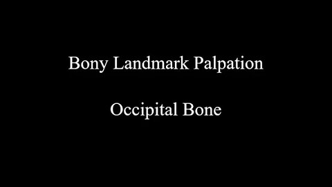 Bony Landmark Palpation - Occipital Bone (Skull)