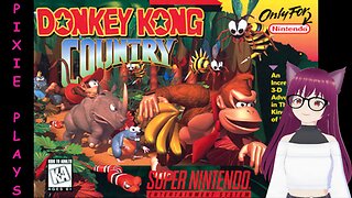 Pixie Plays Donkey Kong Country Part 3