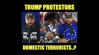 Trump Protestors Domestic Terrorists?