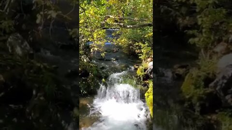 Beautiful Waterfall with Moss - Gaia Magical Moments