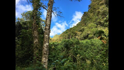 Boquete, Panama, Pipeline Hike, February 2017