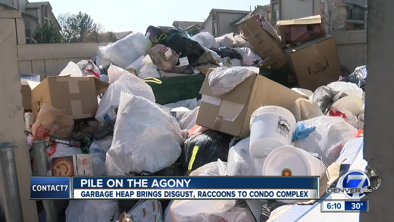 Denver condo residents say trash hasn't been picked up in weeks and it's attracting raccoons