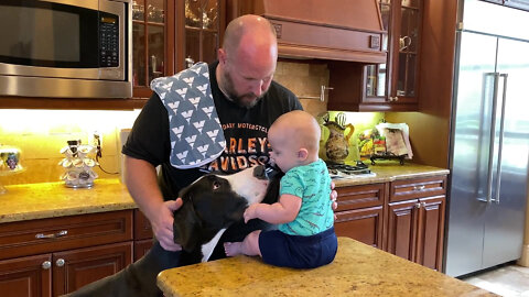 Baby And Great Dane Share Adorable Kiss Together