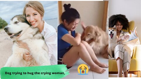 Dog trying to hug the crying woman, Dogs & Puppies