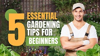 Landscaping Secrets: How to Keep Your Yard Looking Perfect!