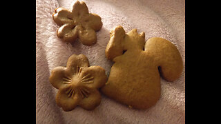 Homemade gingerbread 🍁 animals ⋆꙳•❅*⋆ Retro moose Mug & the Cats