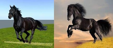 Beautiful Black Horse Running Playing