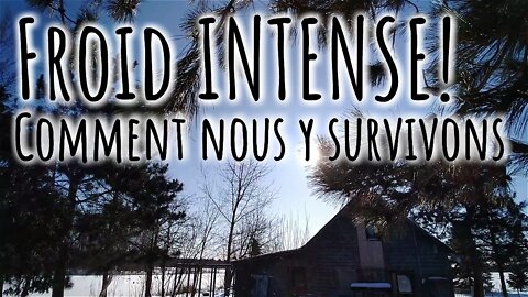 FROID INTENSE ❄ La RÉALITÉ d'une FERMETTE en autosuffisance #256