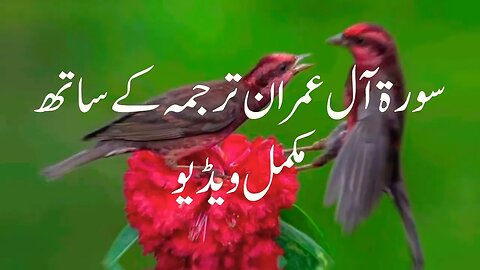 #islam #islamic #Video #سورة آل عمران ترجمہ کے ساتھ مکمل ویڈیو full video #viralvideo subscribe