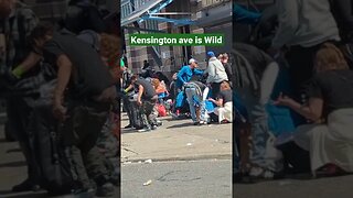 Kensington ave Is Wild