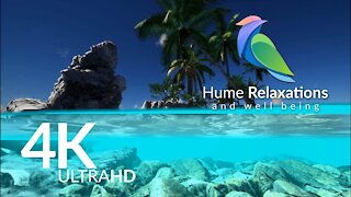 Kauai • Wonders Of The World ! Stunning Music Vives in 4K UltraHD • Original Soundtrack by Hume