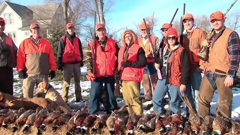 Pheasant Hunting In Huron, South Dakota