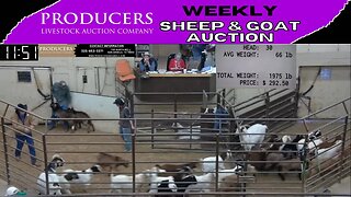 2/21/2023 - Producers Livestock Auction Company Sheep & Goat Auction