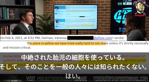 Project Veritas内部告発 Pfizer編「胎児の細胞の情報が世間に出回ることは避けたい」