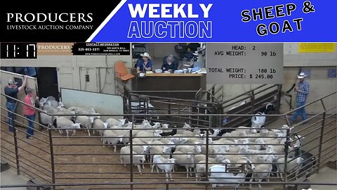6/27/2023 - Producers Livestock Auction Company Sheep & Goat Auction