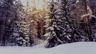 10 Hours Snowy Forest Ambience with Christmas Piano Music ~ Relaxing Soft Piano Music for Sleep