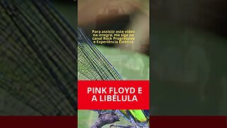 PINK FLOYD E A LIBÉLULA