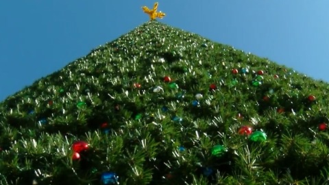 Costs of city holiday tree displays vary around area