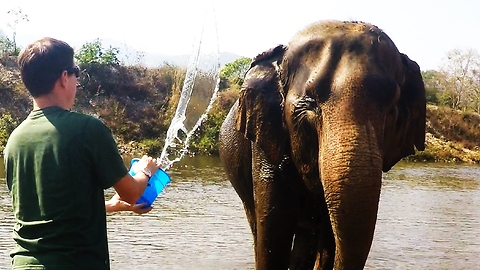 Rescued elephant enjoys river bath