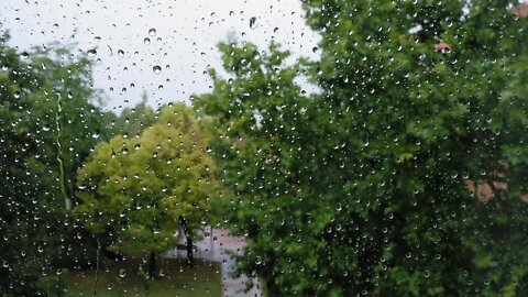 Rain Drops Raining Tree Crystal