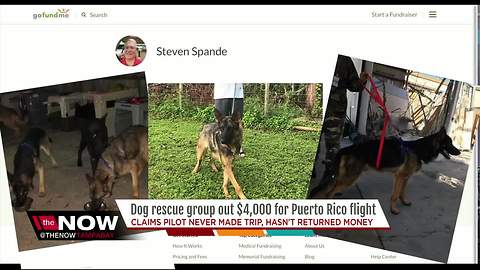 Dog rescue group out $4,000 for Puerto Rico flight