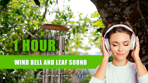 🍃 1 HOUR OF RELAXING SOUNDS: WIND CHIMES AND LEAF SOUND