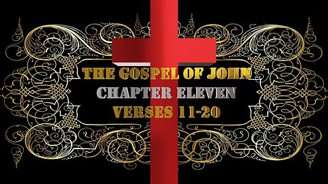 The Gospel Of John Chapter 11 Animated Bible Study Quiz With Narration (Part 2: Verses 11-20)