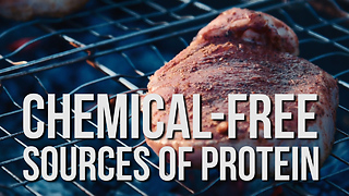 Chemical-Free Sources of Protein