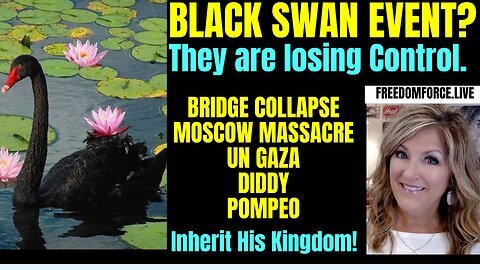 Melissa Redpill _ Black Swan - Bridge Collapse, Diddy, Moscow, Assange -Kingdom 3-26-24