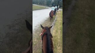 Horse Riding Miami Florida