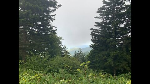 On my way back from clingmans dome