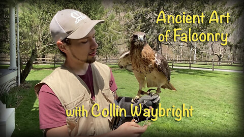 Ep. 8 - Ancient Art of Falconry with Collin Waybright