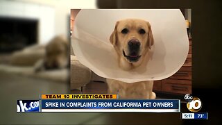 Spike in complaints from California pet owners