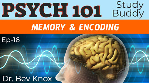 Memory, Encoding & Retrieval - Psych 101 “Study Buddy” Series