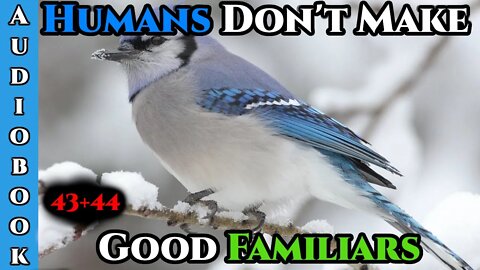 Humans Don't make Good Familiars (Ongoing) - Ch.43+44 | HFY | Fantasy |