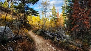 Rocky Mountain National Park in Autumn!