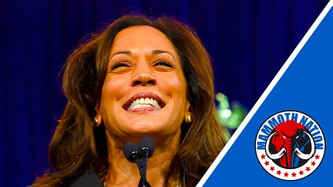 New Leftist Narrative: Conservatives are Racist for Calling Out Kamala’s Flaws
