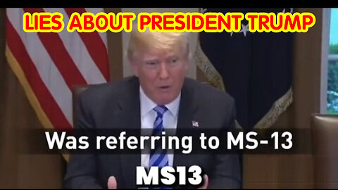 The Mocking Bird Media - Lies About President Trump Exposed