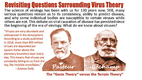 Revisiting Questions Surrounding Virus Theory