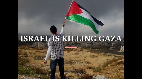 Who Authored the Violence in Gaza? Palestinians Are Paying the Heaviest Price - Weird Catastrophe