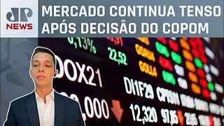 Ibovespa cai mesmo com corte na taxa Selic; economista analisa