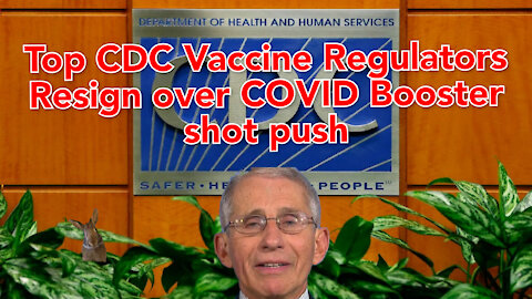FDA's top Vaccine Regulators to resign over Whitehouse push for COVID Booster shots.